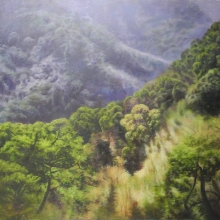 自然景觀系列-幽然  2014  油彩畫布 72.5×110cm-大美無言藝術空間